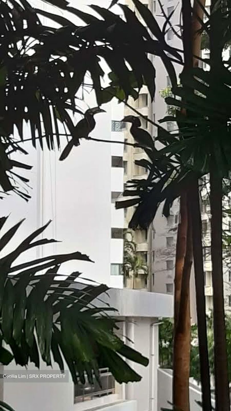 Elizabeth Heights (D9), Condominium #560445641
